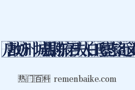 唐故坊州鄜城县尉陈府君夫人白氏墓志铭近义词是什么意思的图片